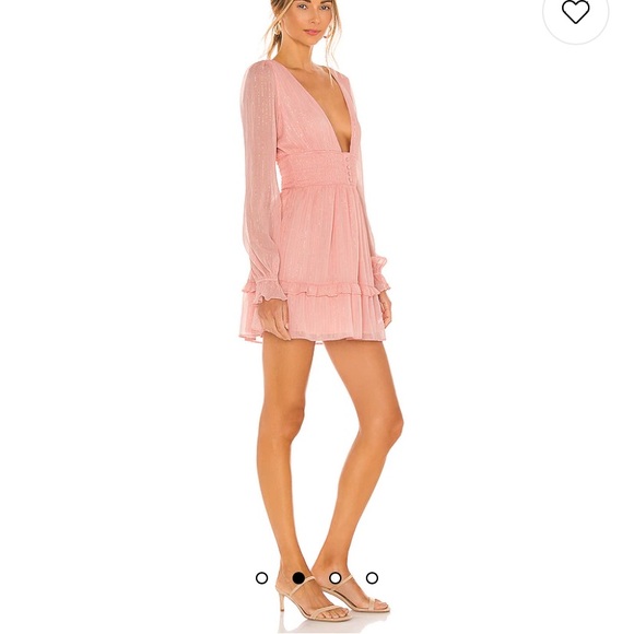 NWT Arline Dress in Pink - Picture 4 of 4